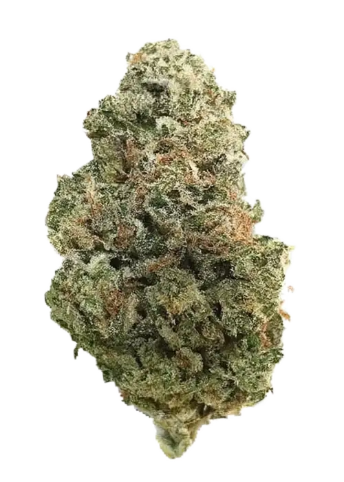 Thin Mint Cookies - Image 2
