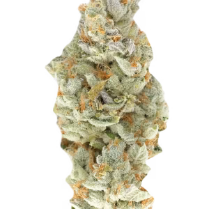 Vanilla Custard