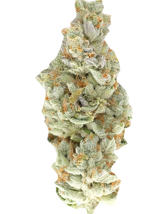 Vanilla Custard