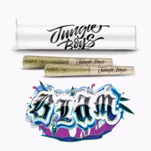 BLAM Pre-Roll