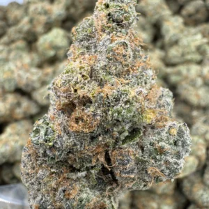 Super Boof strain