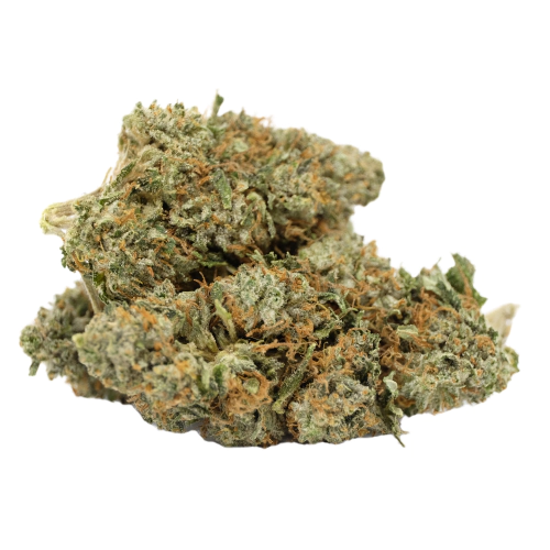Cake Popz strain-3.5g