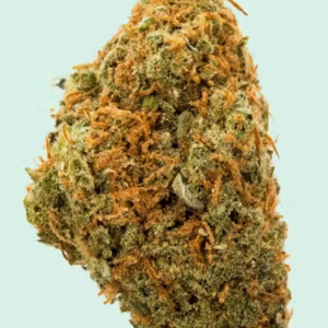 Cherry Guava