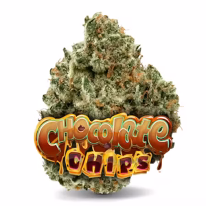 Chocolate Chips