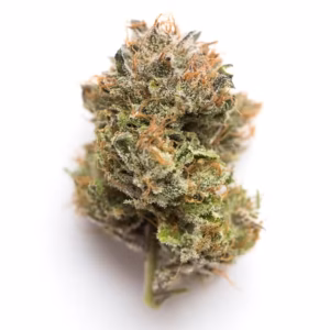 Gelato #33 strain