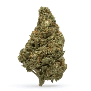 Blue Guava