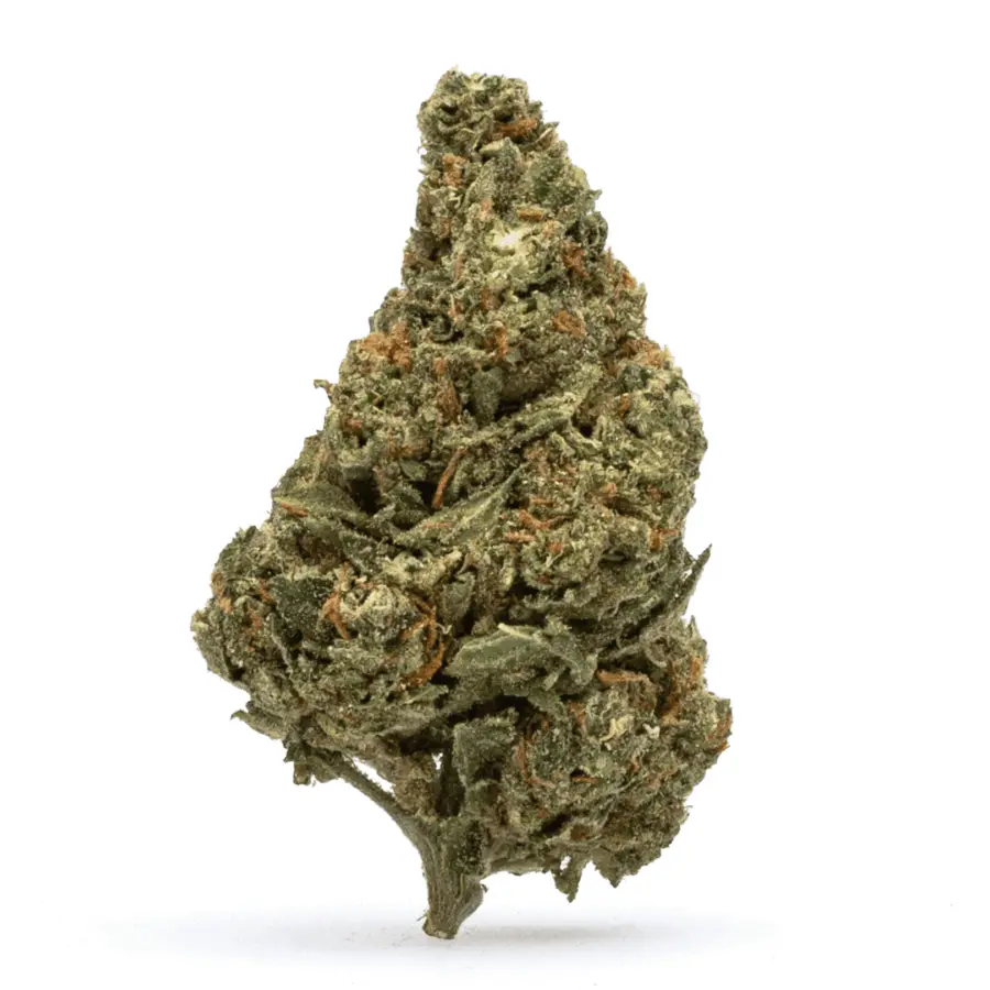 Blue Guava