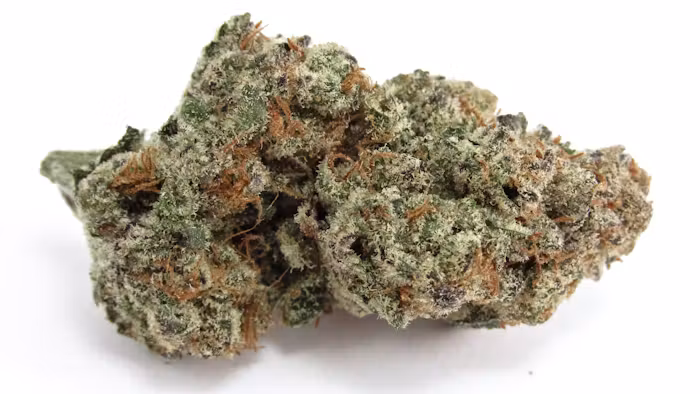 Horchata strain-3.5g