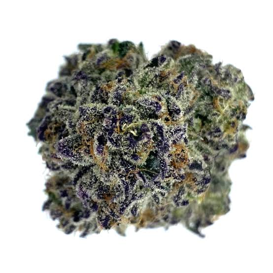 Purple Cream strain-3.5g