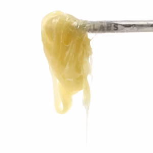 Strawberry Guava #9 | Persy Rosin | 1g