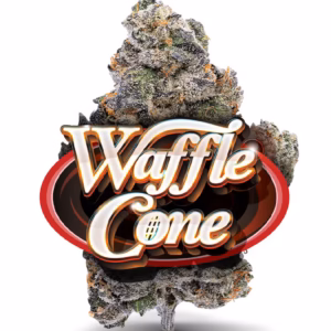 Waffle Cone - Premium Flower