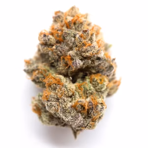 White Nerds strain