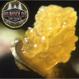 World War Z | Live Resin | 1g