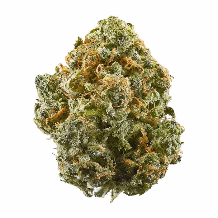 Blue Dream strain