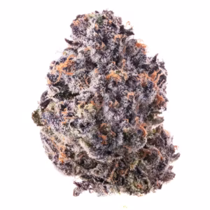 blue sherb ZA rule Flower 3.5g