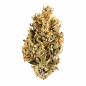 Cherry Poppers strain