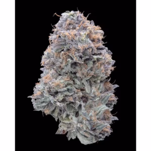 Imperial Grapefruitz